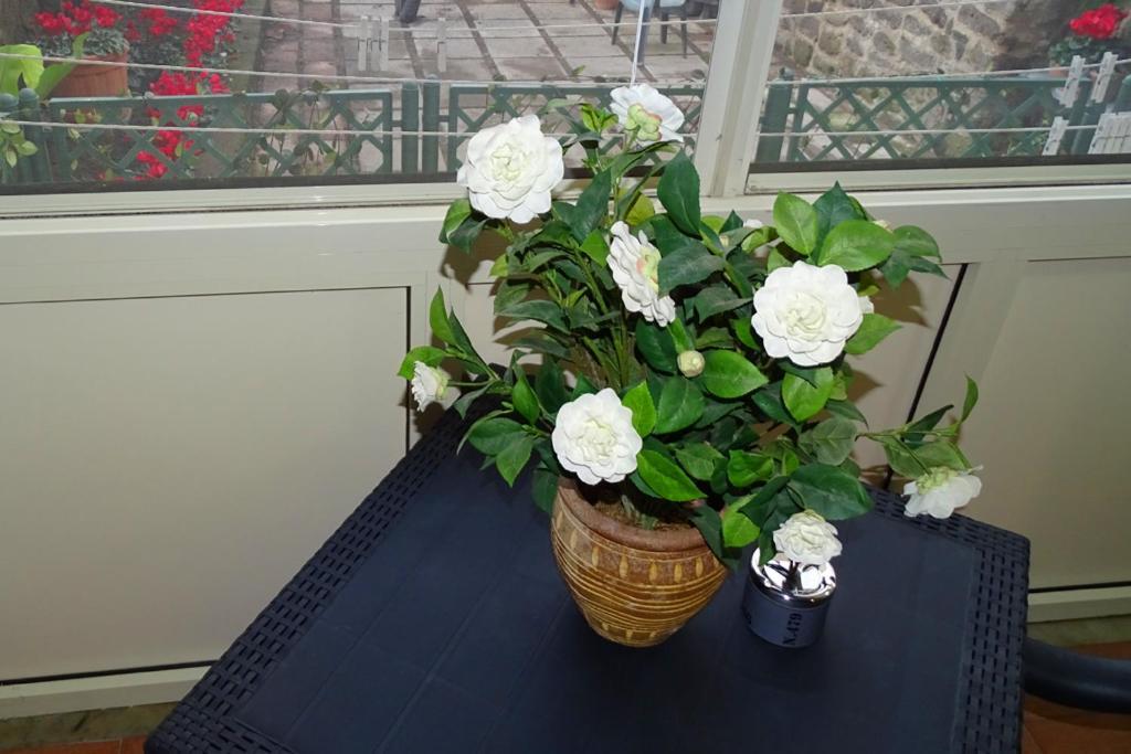 Nonna Peppa - Sorrento Bed and Breakfast Sant'Agnello Eksteriør billede